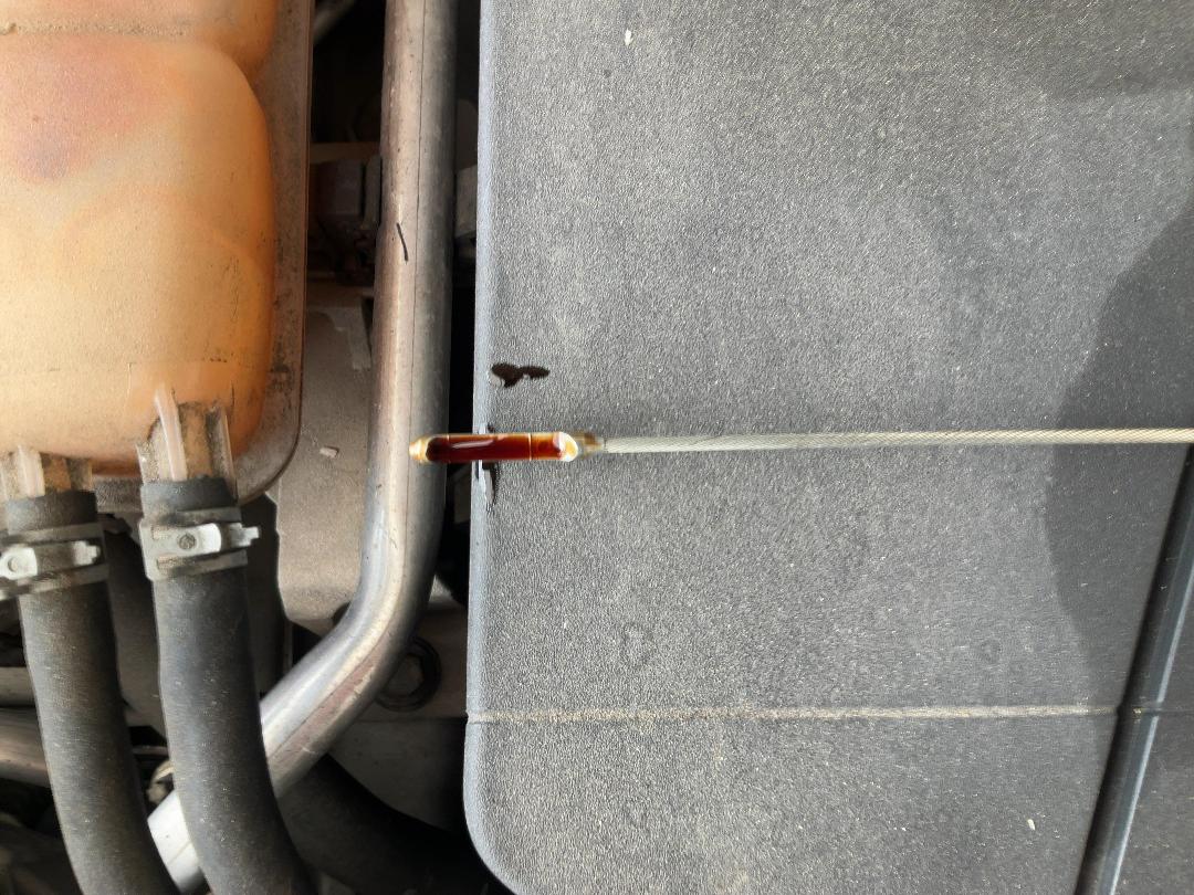 Photo '10' of Ford Focus