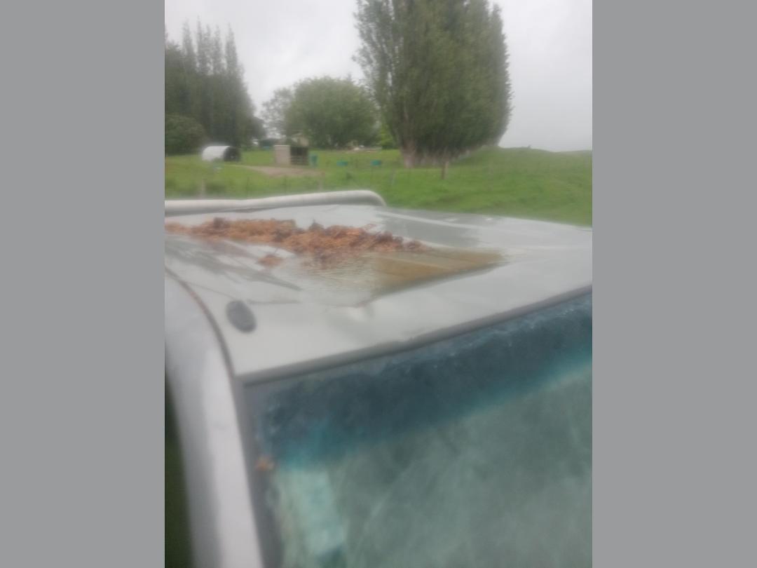 Photo '5' of Ford Ranger TD XLT DC W/S