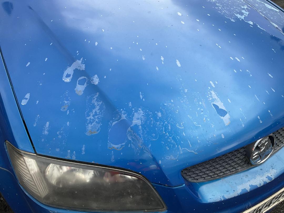 Photo '5' of Holden Commodore SV6