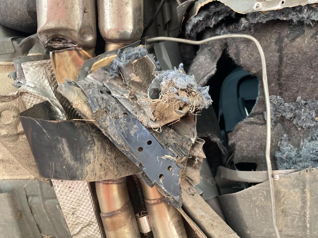 Photo '17' of Holden Commodore SS Photo '17' of Holden Commodore SS