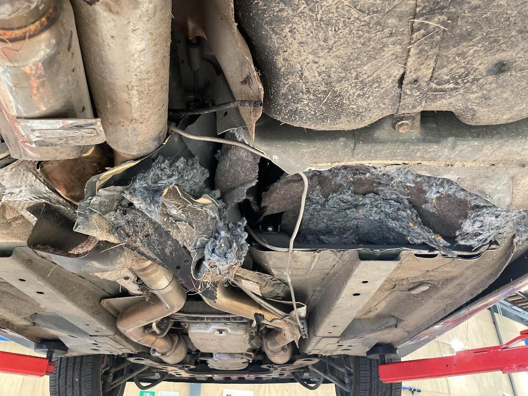 Photo '18' of Holden Commodore SS Photo '18' of Holden Commodore SS