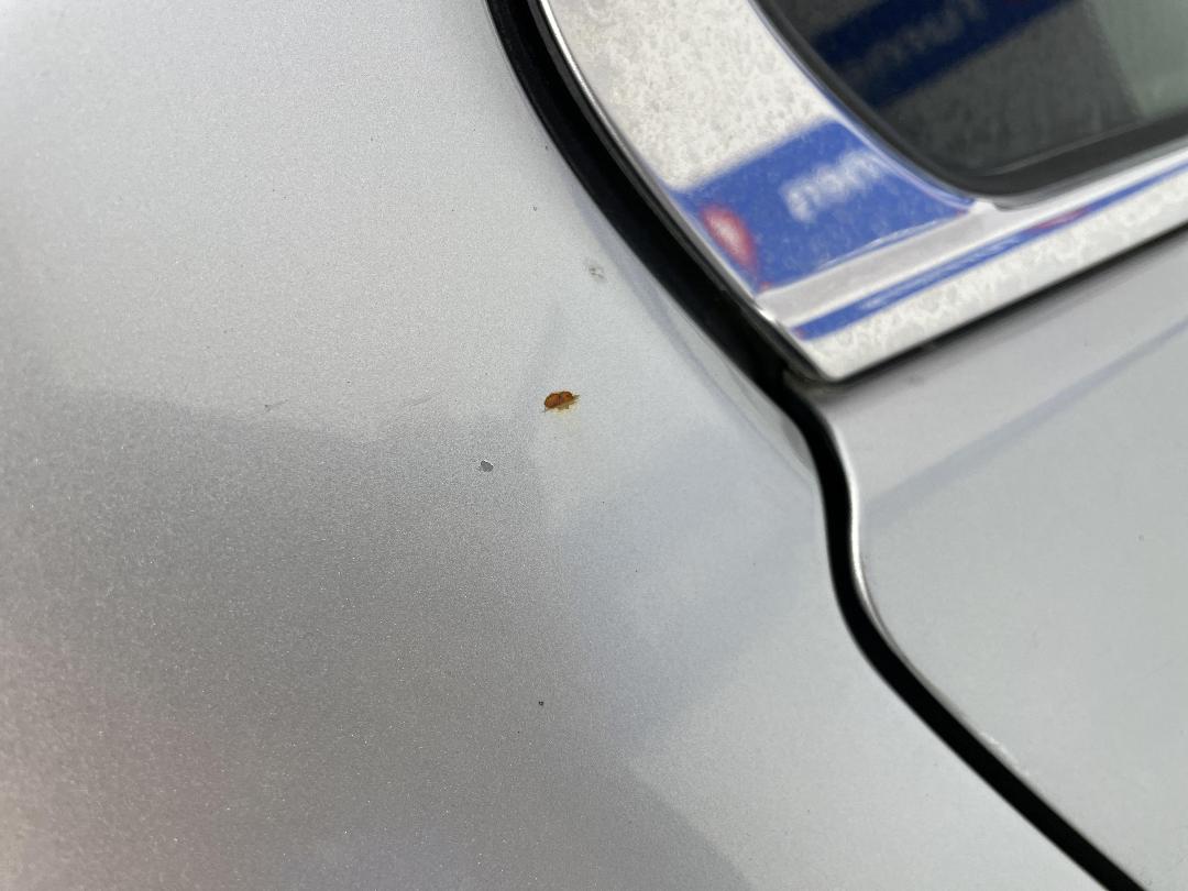 Photo '31' of Honda Accord