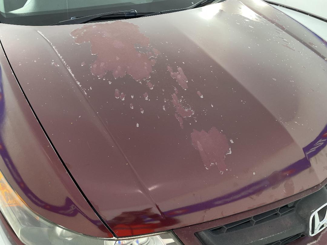 Photo '28' of Honda Accord