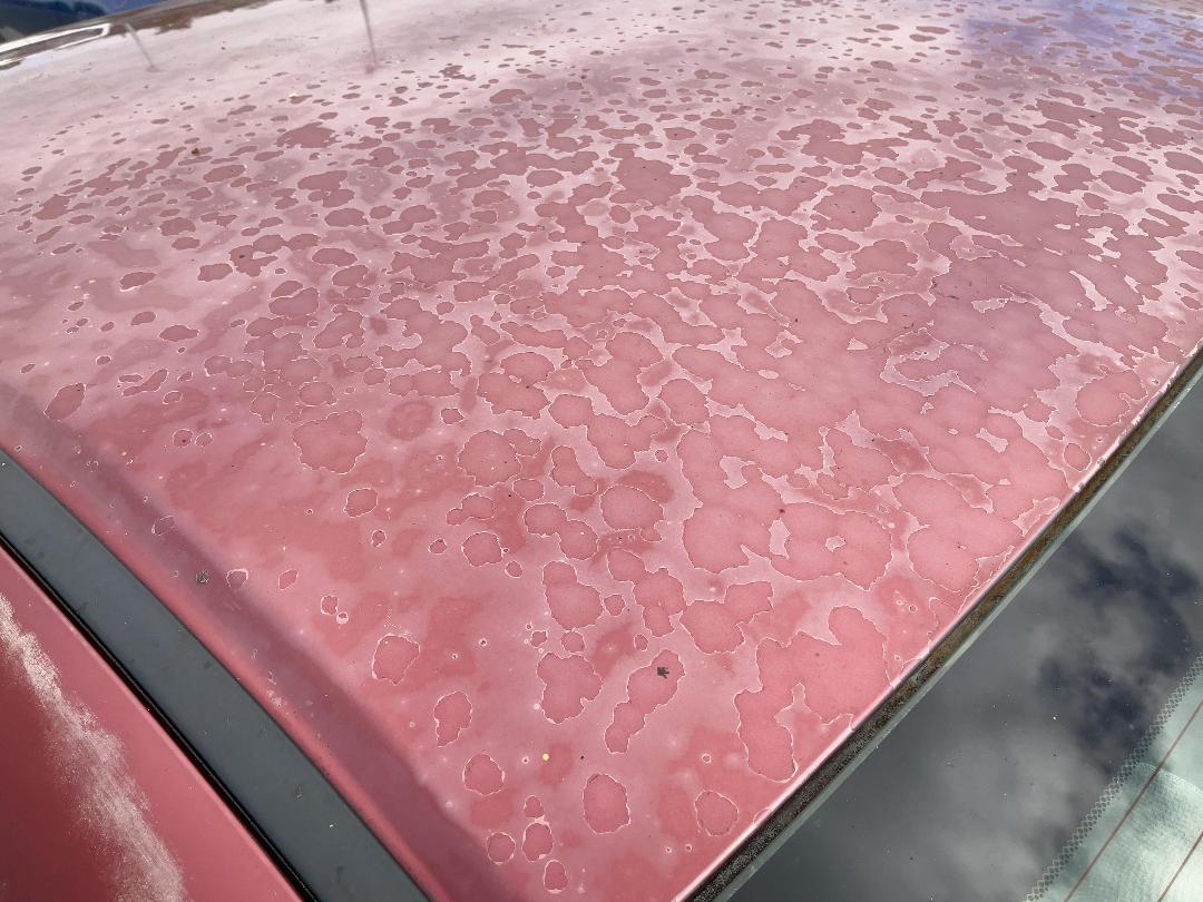 Photo '16' of Honda Civic S