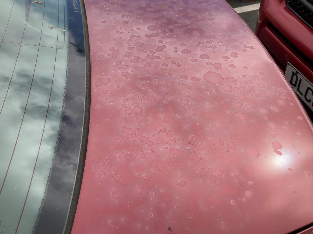 Photo '17' of Honda Civic S