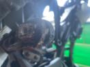 Thumbnail '27' of Kawasaki ZR 750L Thumbnail '27' of Kawasaki ZR 750L