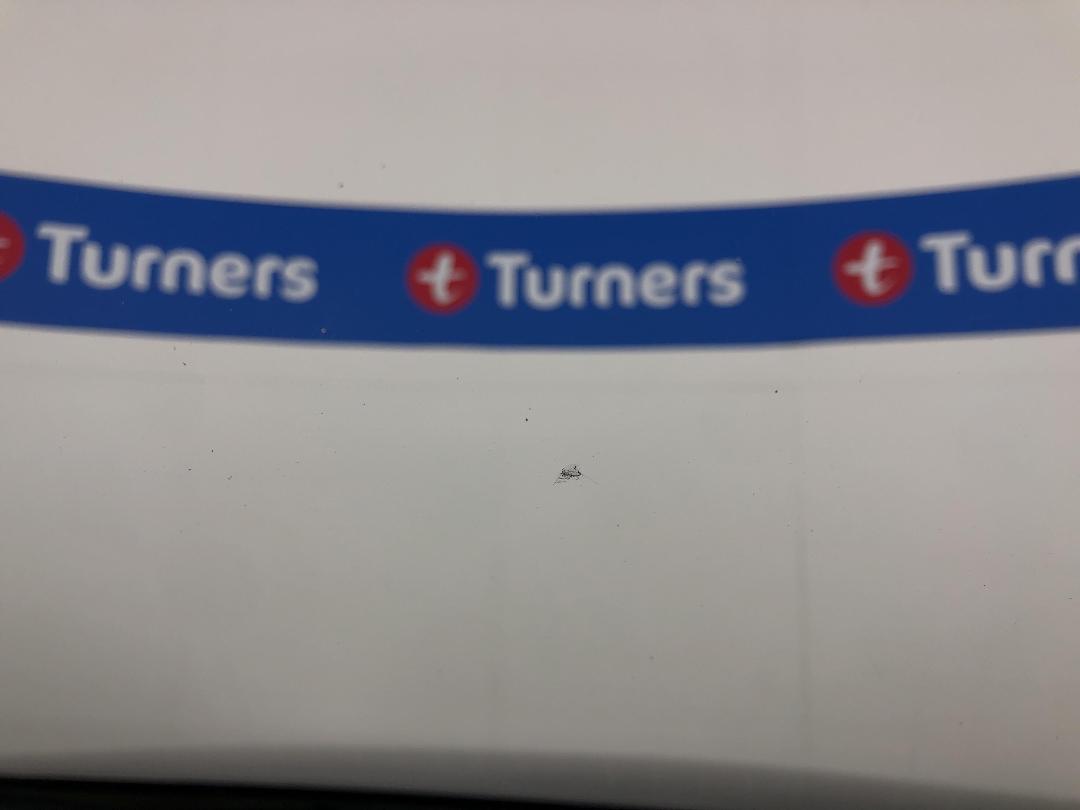 Photo '23' of Mazda Atenza