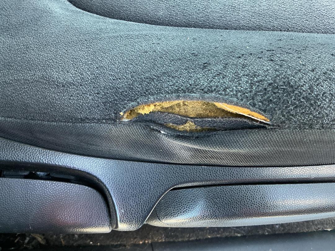 Photo '31' of Mazda Biante