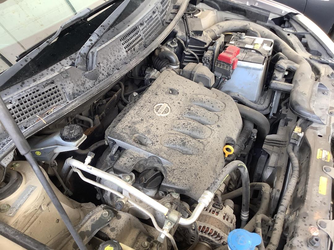 Photo '12' of Nissan Dualis