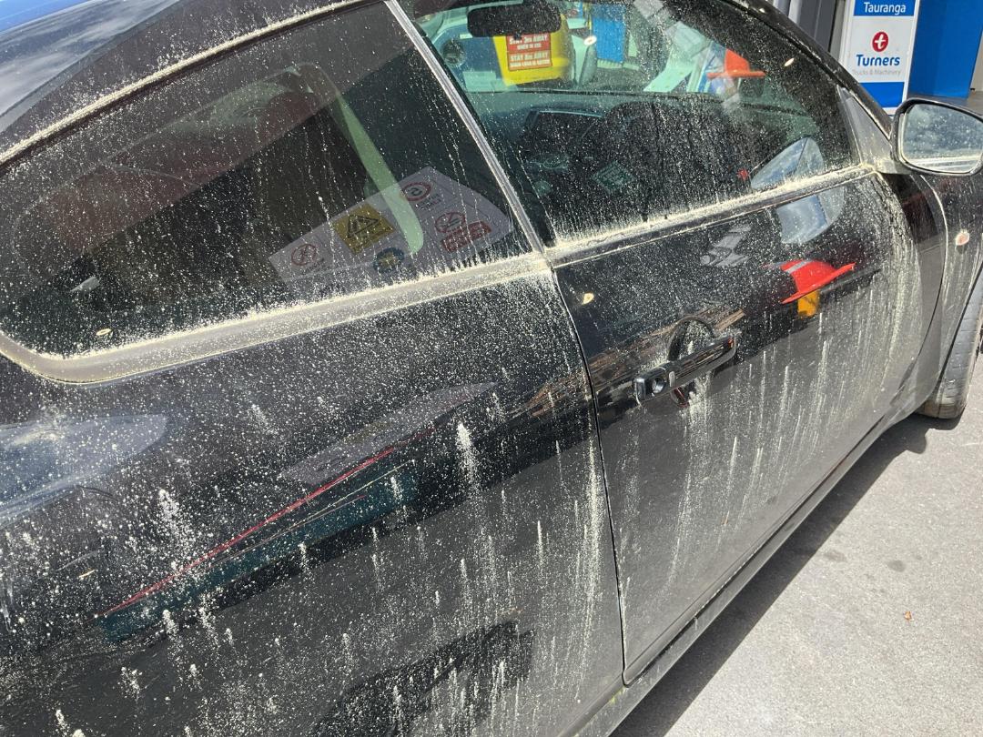 Photo '13' of Nissan Skyline