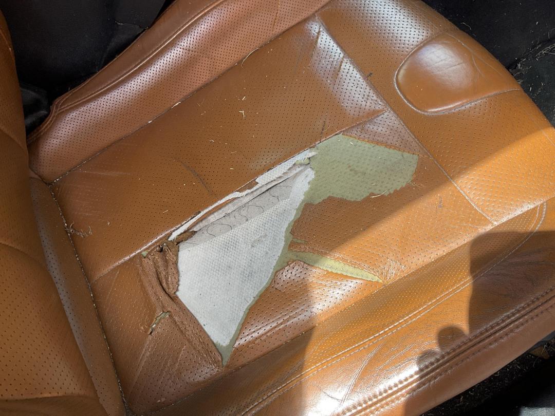 Photo '15' of Nissan Skyline