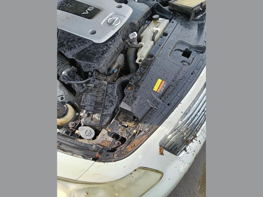 Photo '6' of Nissan Skyline Photo '6' of Nissan Skyline