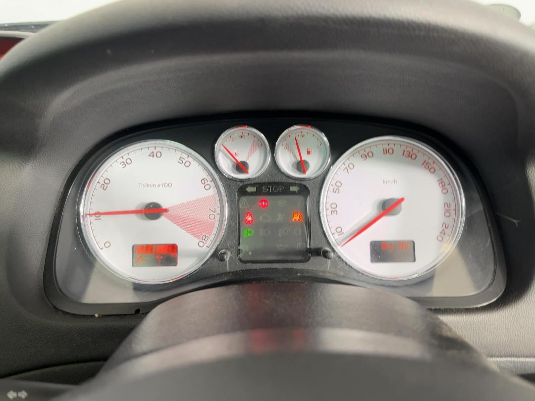 Photo '21' of Peugeot 307