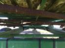 Thumbnail '26' of SAM 10 SF Silage Wagon Thumbnail '26' of SAM 10 SF Silage Wagon