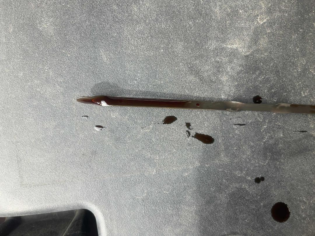 Photo '15' of Subaru Forester