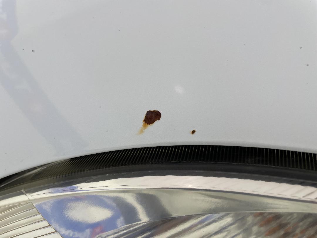 Photo '28' of Suzuki Swift