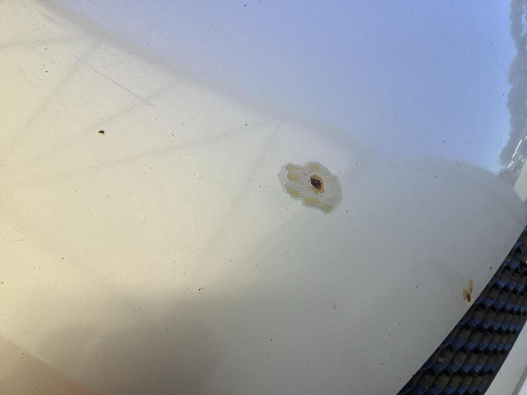 Photo '3' of Suzuki Swift Glxha2 LTD Photo '3' of Suzuki Swift Glxha2 LTD