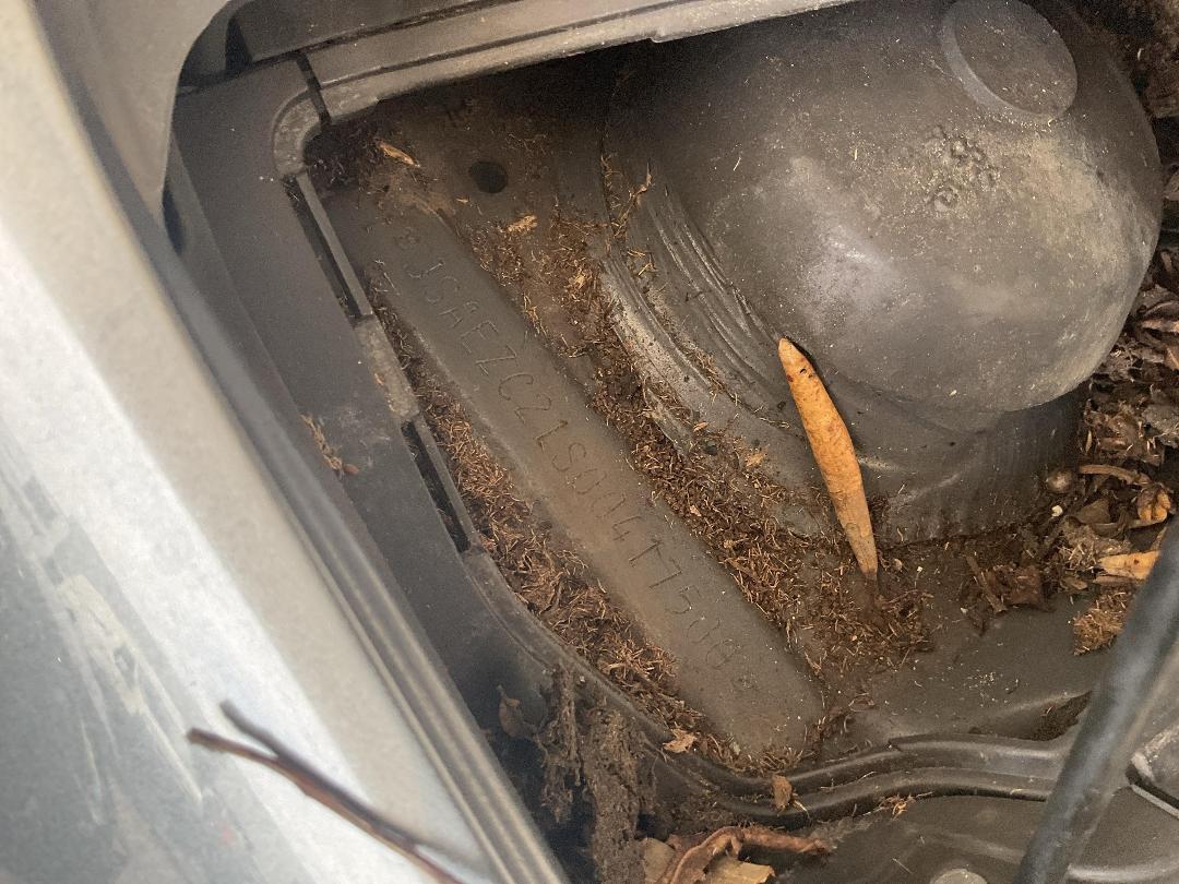 Photo '17' of Suzuki Swift Glxa