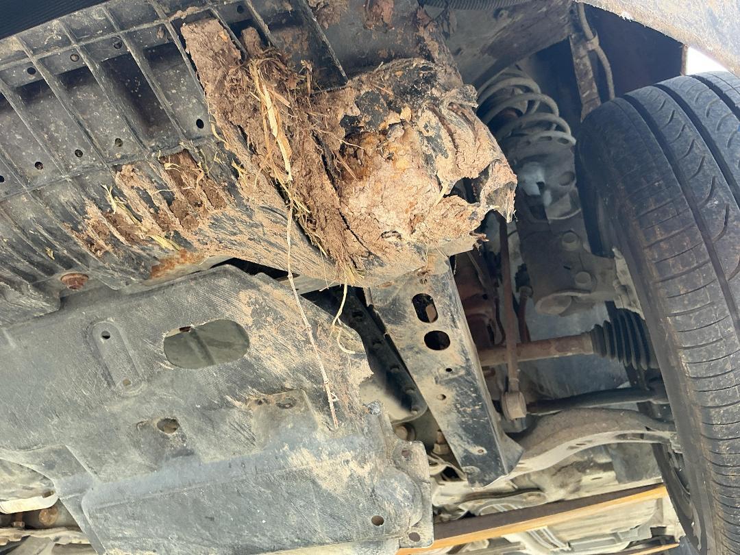 Photo '7' of Toyota Corolla GX Photo '7' of Toyota Corolla GX