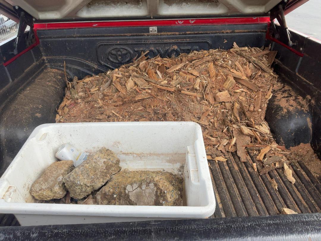 Photo '6' of Toyota Hilux TD D/C