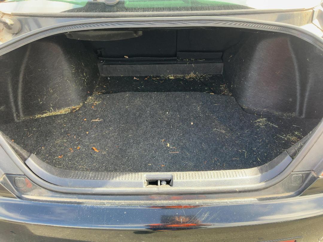 Photo '7' of Toyota Markx