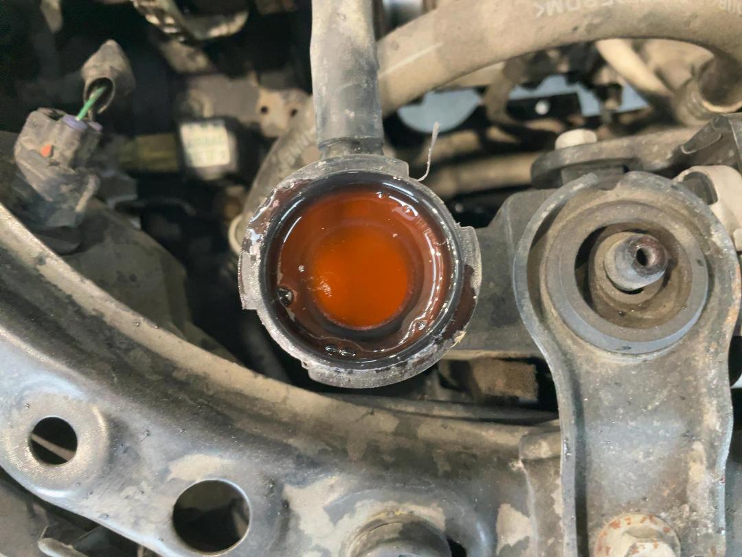 Photo '20' of Toyota Wish