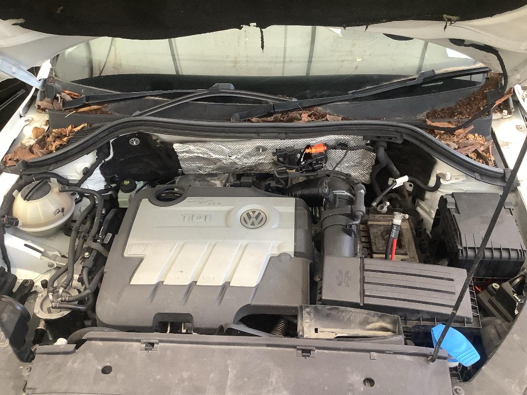 Photo '12' of Volkswagen Tiguan TDI 103KW Photo '12' of Volkswagen Tiguan TDI 103KW