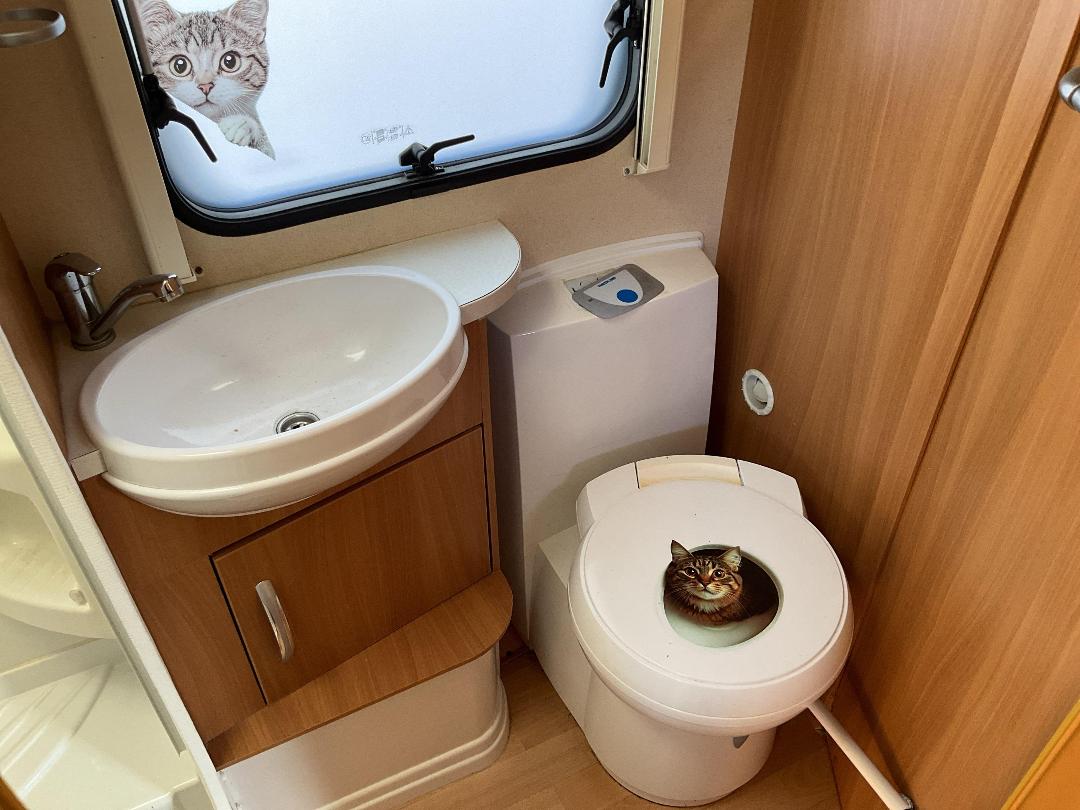 Photo '15' of CARAVAN ACE