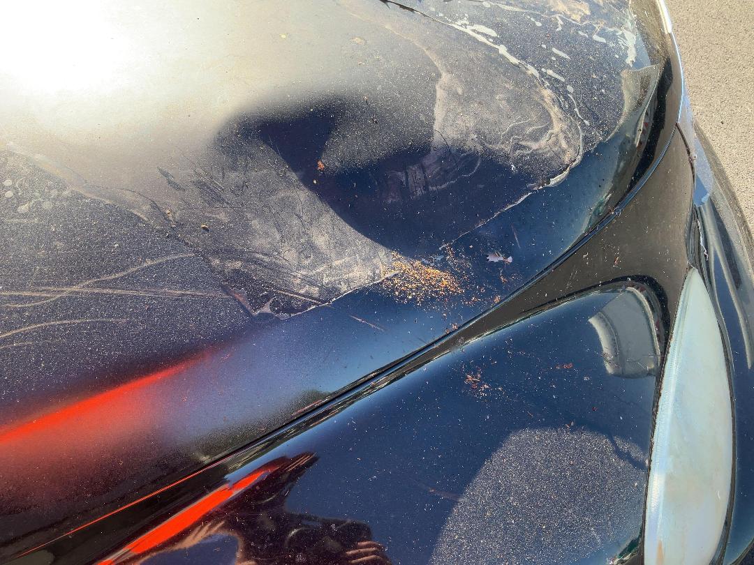 Photo '13' of Chrysler PT Cruiser Touring