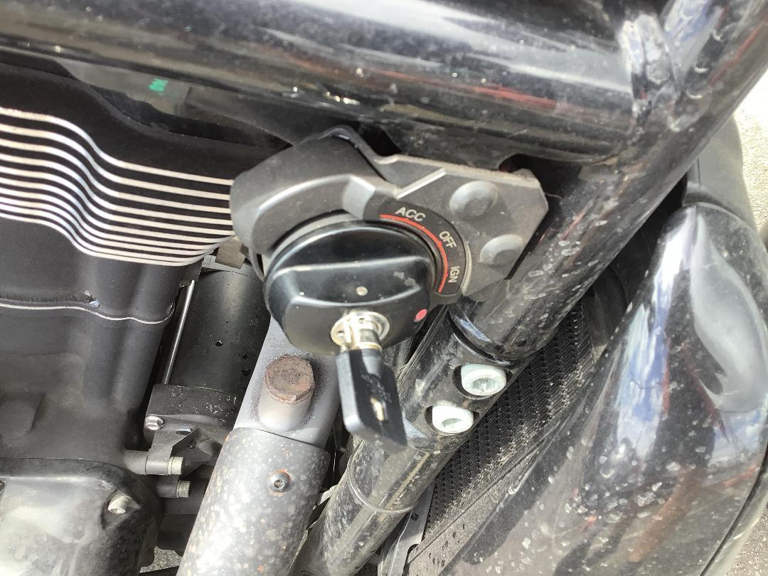 Photo '10' of Harley Davidson Vrscdx Night ROD Special