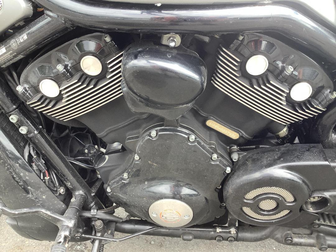 Photo '11' of Harley Davidson Vrscdx Night ROD Special