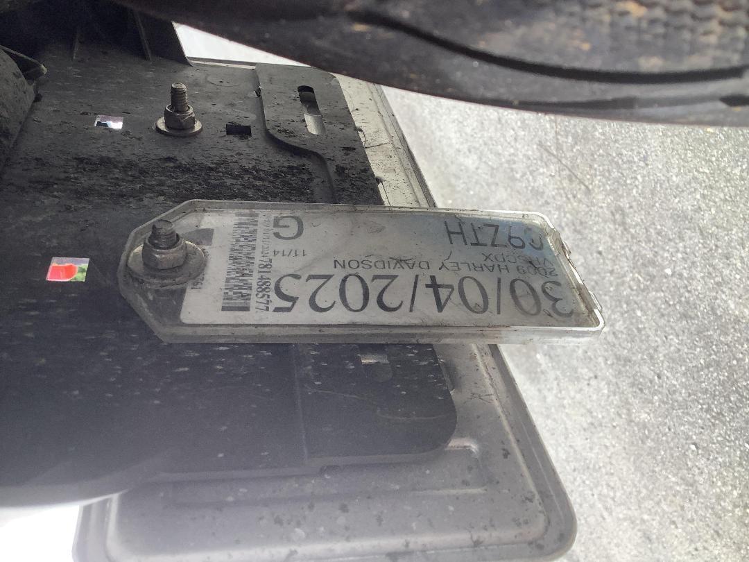 Photo '18' of Harley Davidson Vrscdx Night ROD Special