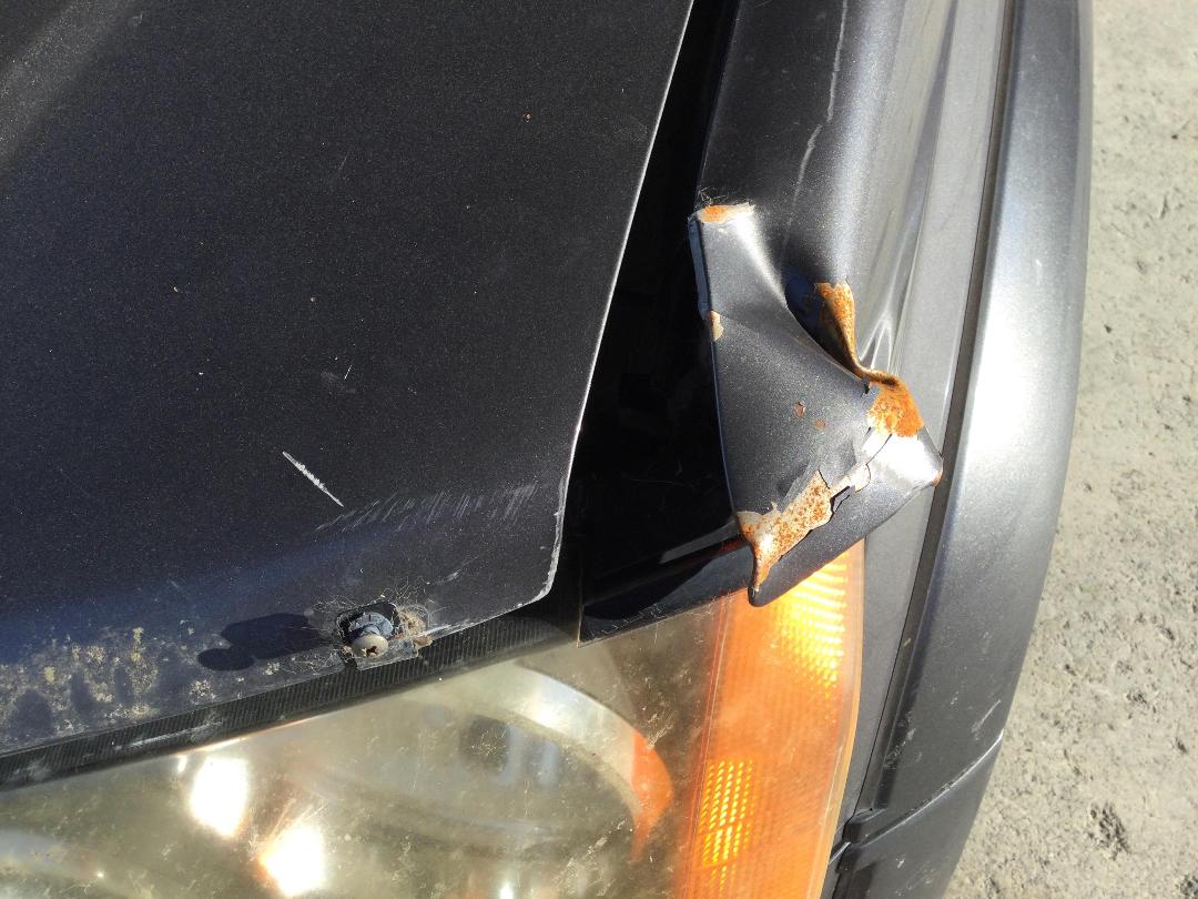 Photo '19' of Holden Colorado LT CRW PU DSL