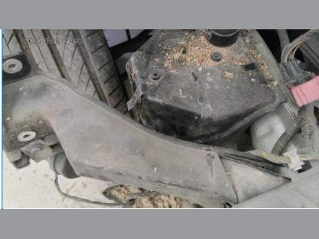 Photo '24' of Holden Commodore Calais-V V6