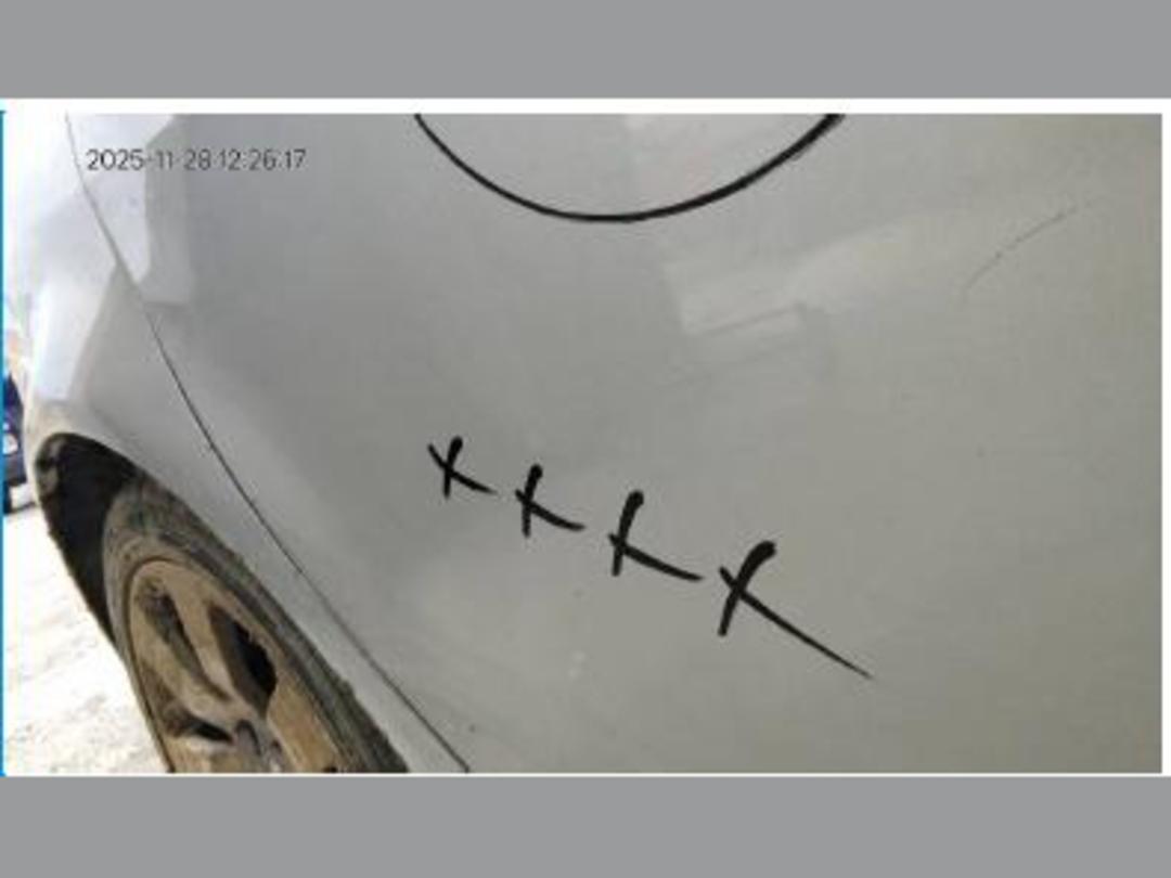 Photo '12' of Holden Commodore Calais-V V6