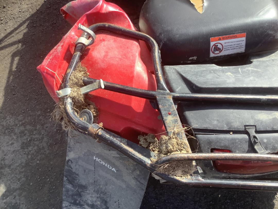 Photo '24' of Honda TRX 420FPA Photo '24' of Honda TRX 420FPA
