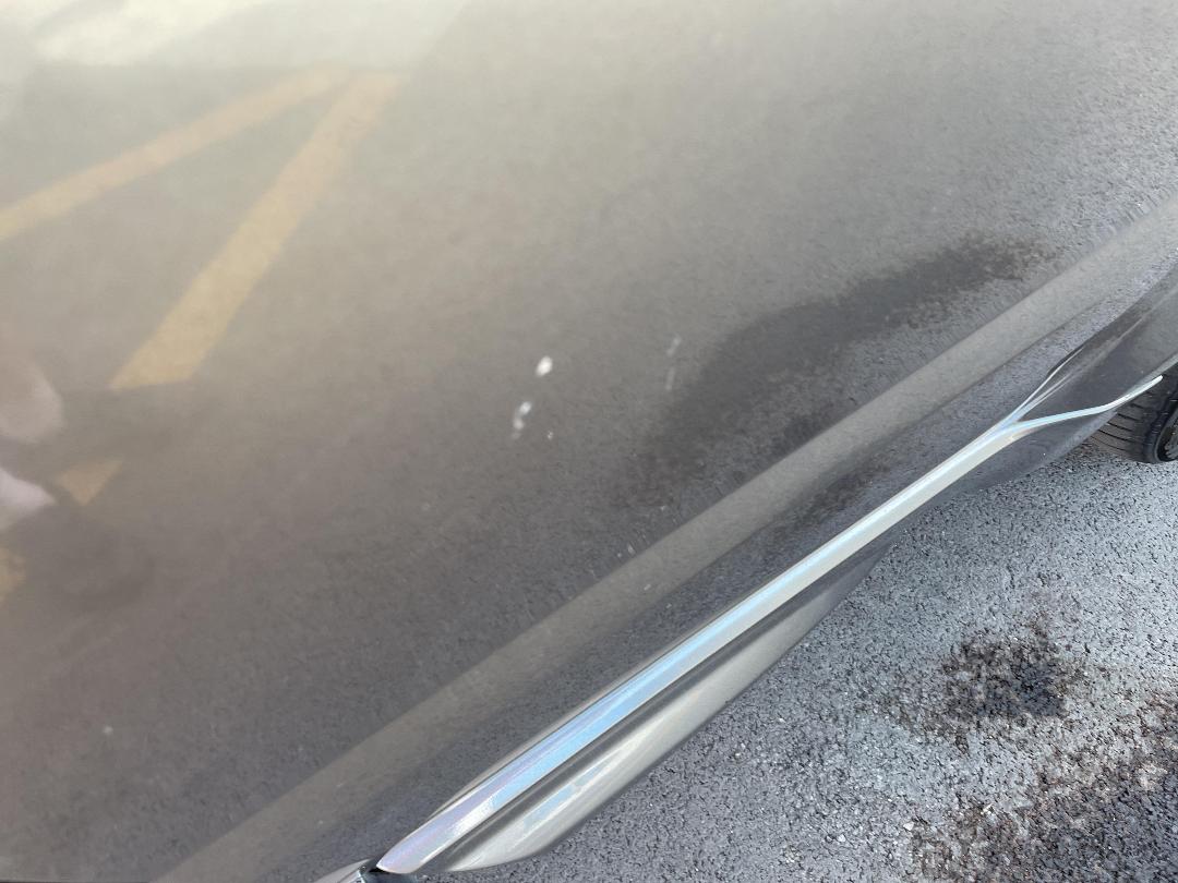 Photo '28' of Land Rover Range Rover