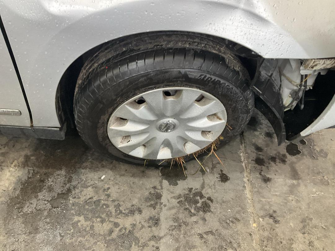 Photo '2' of Nissan Bluebird Photo '2' of Nissan Bluebird