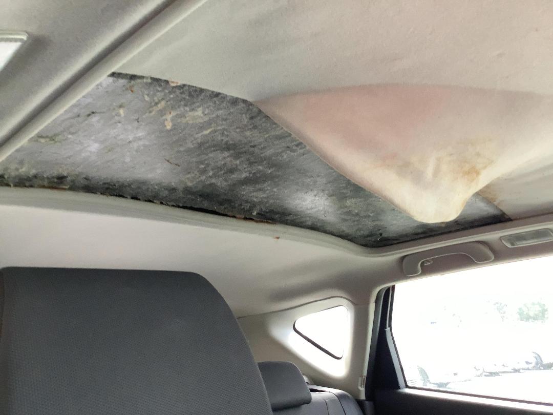 Photo '11' of Nissan Dualis