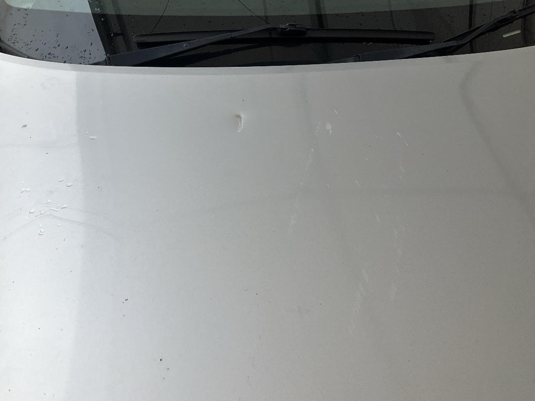 Photo '19' of Subaru Forester X