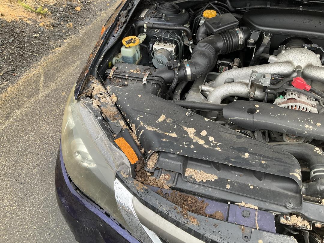 Photo '16' of Subaru Impreza