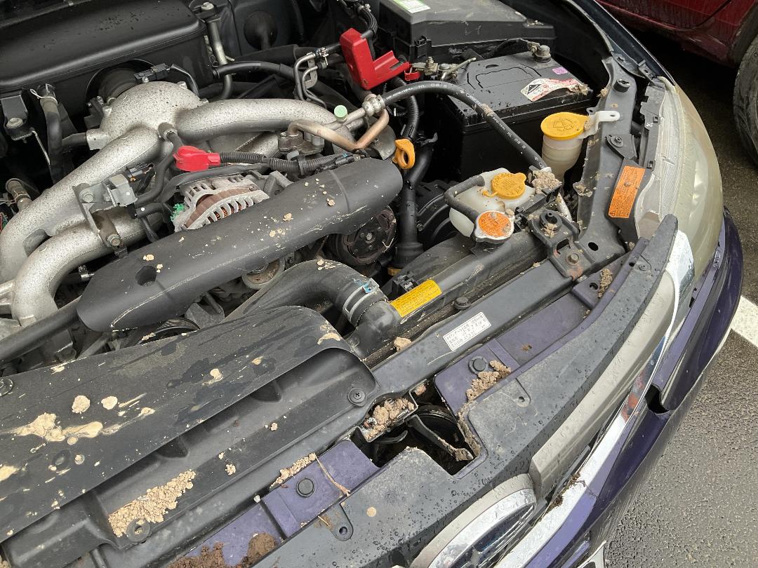 Photo '18' of Subaru Impreza