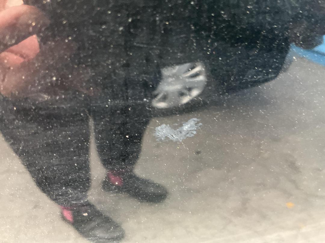 Photo '10' of Toyota Markx ZIO