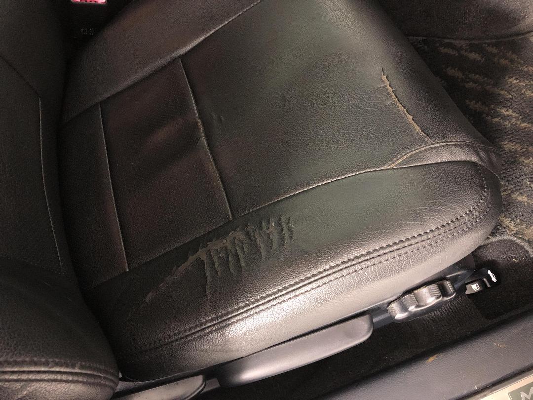 Photo '23' of Toyota Markx