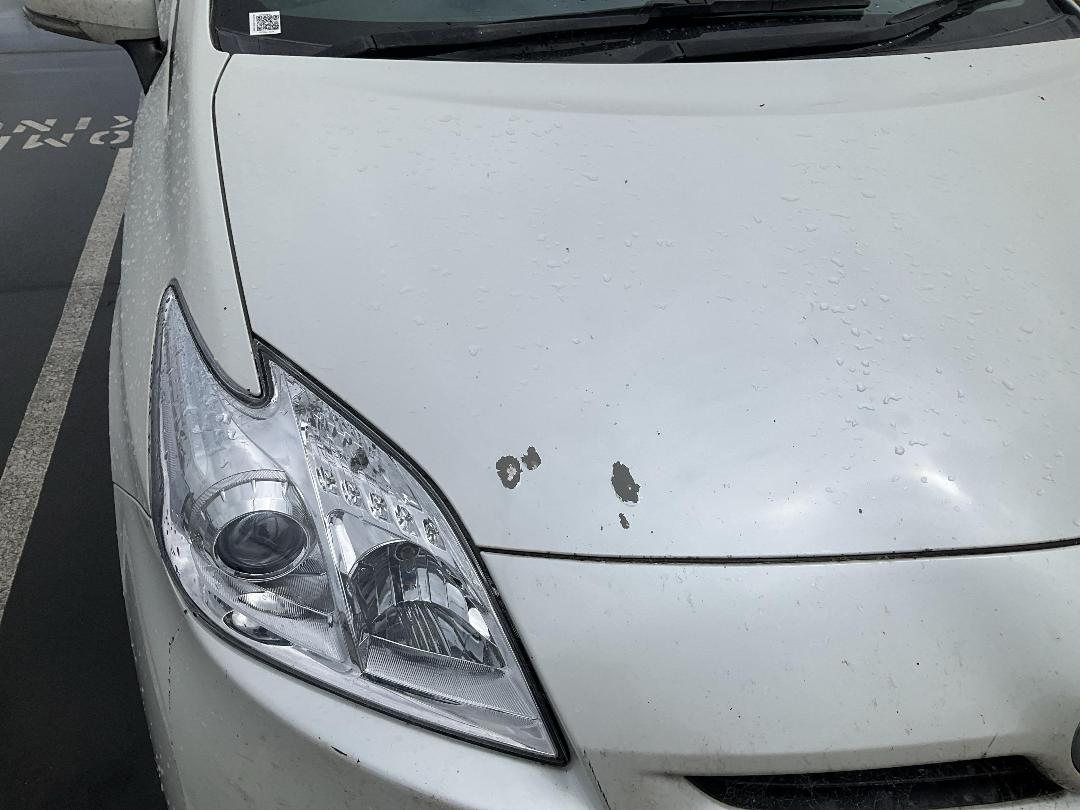 Photo '12' of Toyota Prius Hybrid Photo '12' of Toyota Prius Hybrid