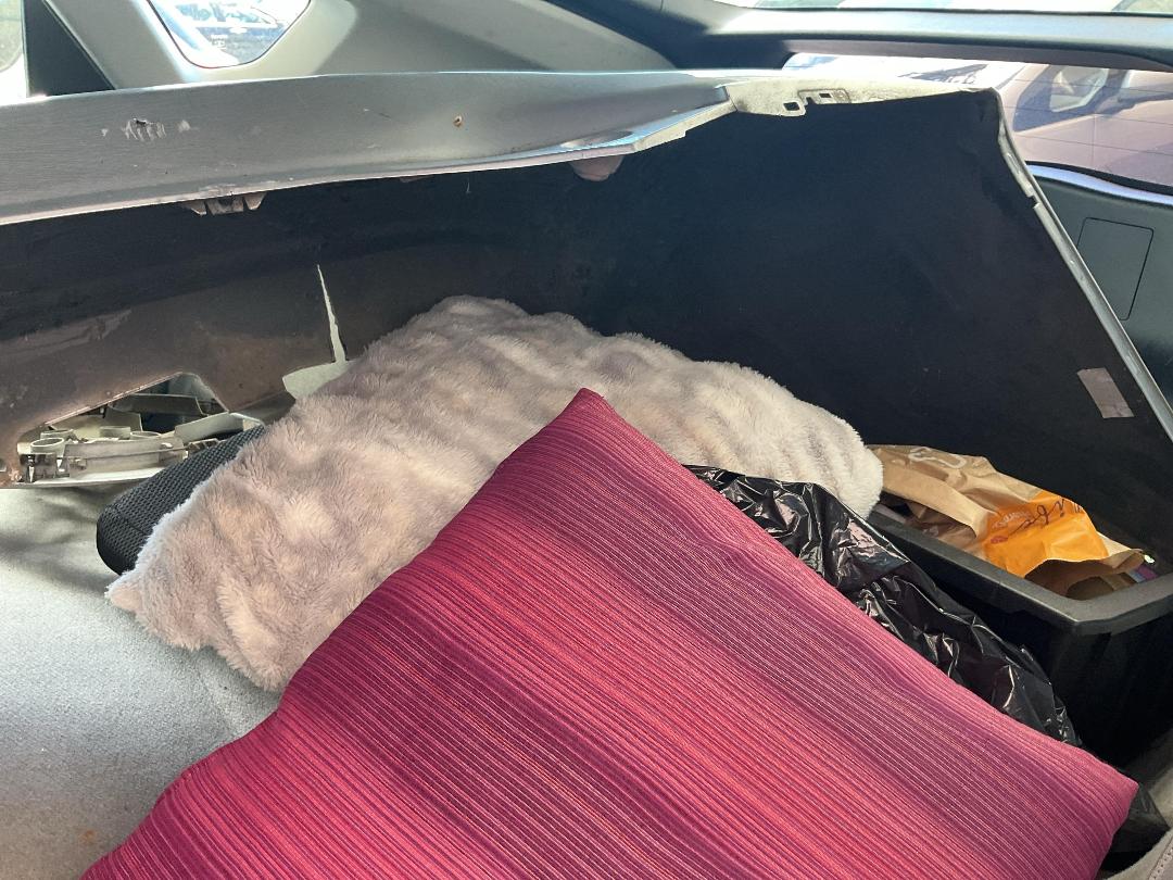 Photo '25' of Toyota Prius