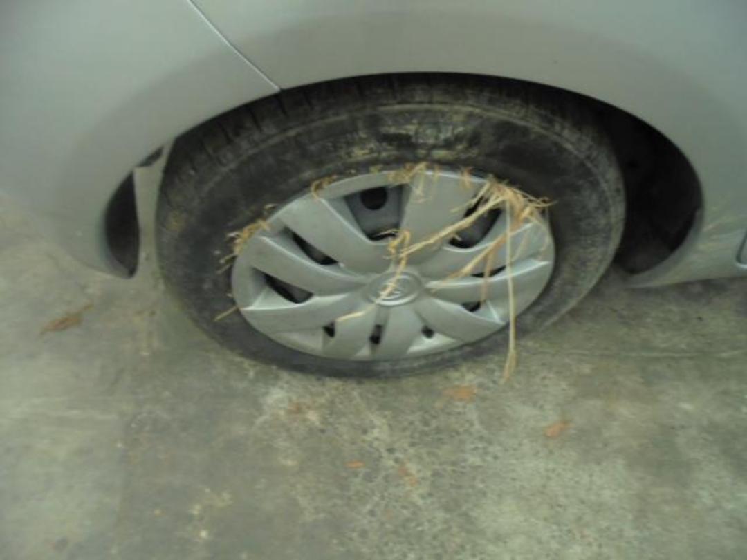 Photo '15' of Toyota Vitz Photo '15' of Toyota Vitz