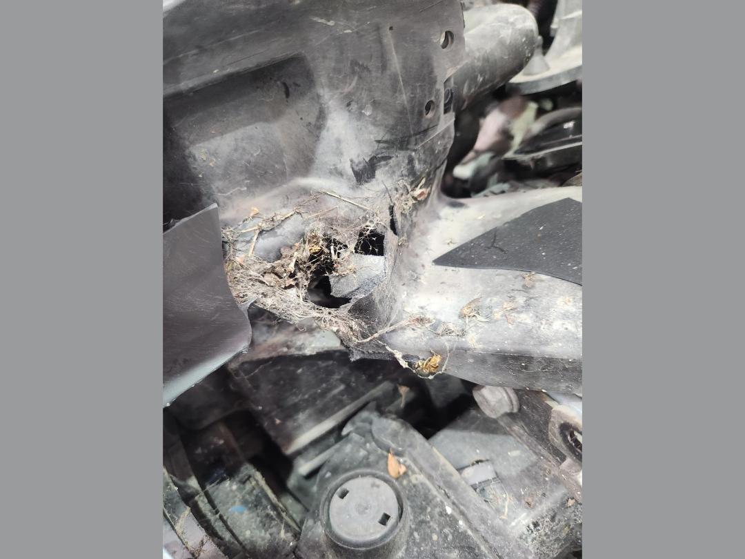 Photo '10' of Volkswagen EOS Tfsi Photo '10' of Volkswagen EOS Tfsi