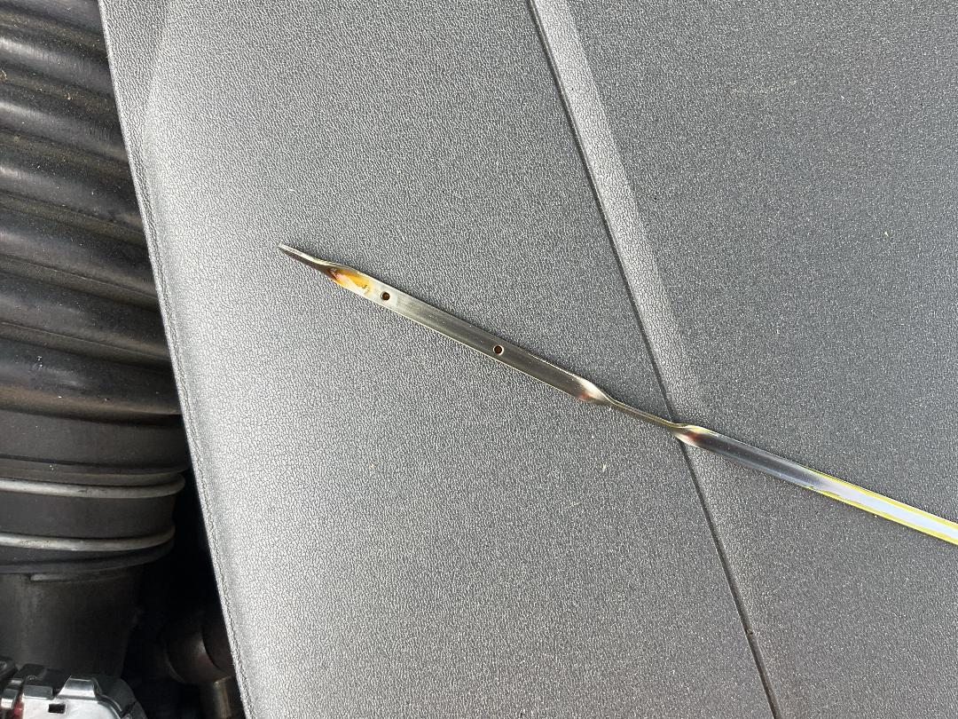 Photo '8' of Lexus IS250