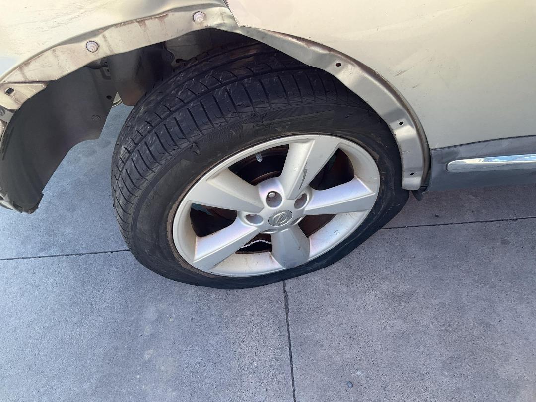 Photo '17' of Nissan Dualis